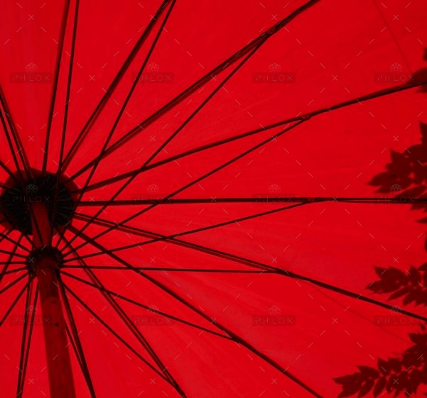 Golden Umbrella 1 loic furhoff YERwza88a0o
